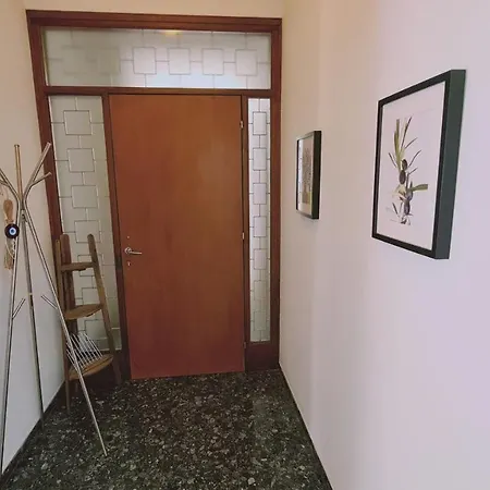 Chrysanthemum Никосия