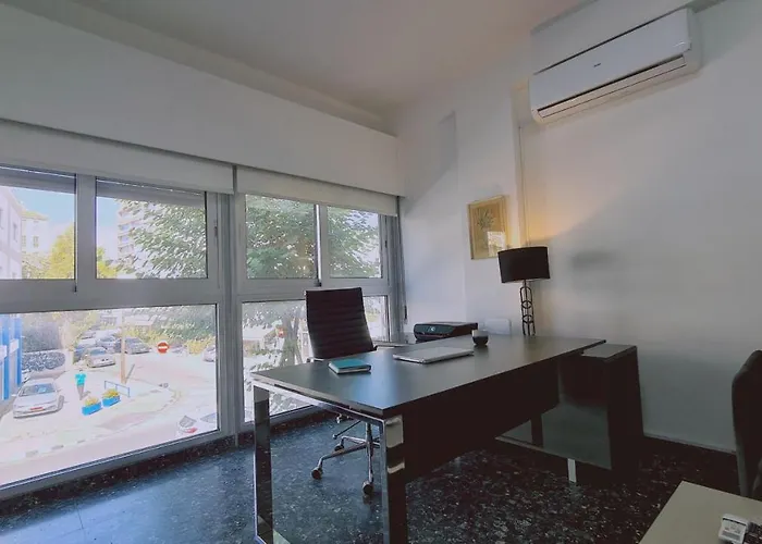 Chrysanthemum ニコシア